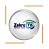 Abonnement 3 Mois Zebra TV 1 écran