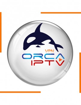 Subscription 6 Months ORCA VPN
